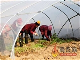 中国经济社会发展的稳定保障